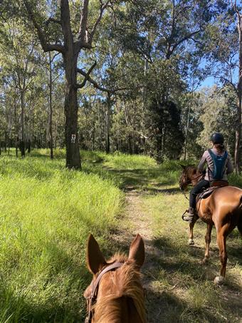 'Greg Willoughby Memorial Ride' Denison Creek