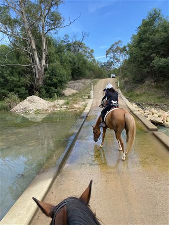 SCZ Braidwood/Currawan Endurance Ride