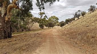 Pine Hut Come and Try Endurance 