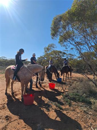 Waikerie Come and Try
